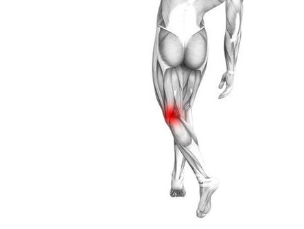 Osteoarthritis of the knee joint